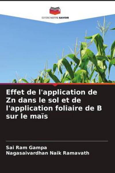 Effet de l’application de Zn dans le sol et de l’application foliaire de B sur le maïs
