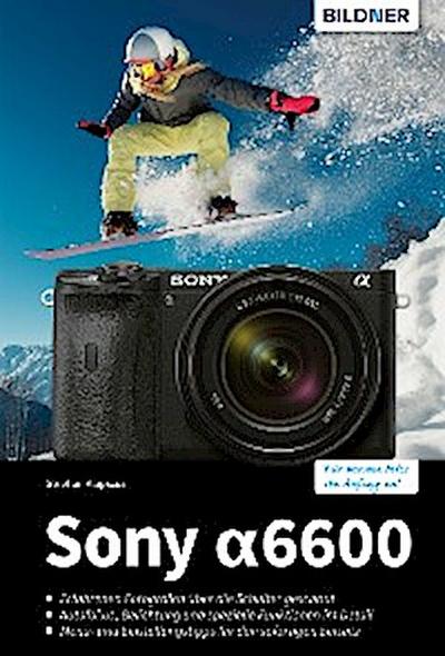 Sony A6600
