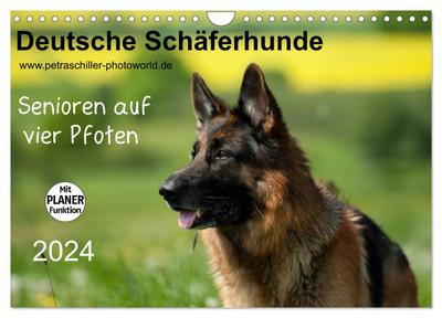 Deutsche Schäferhunde - Senioren auf vier Pfoten (Wandkalender 2024 DIN A4 quer), CALVENDO Monatskalender