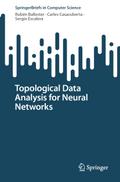 Topological Data Analysis for Neural Networks
