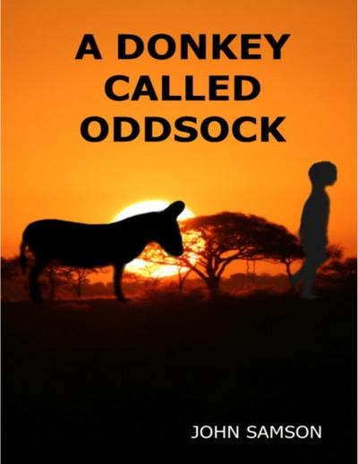 A Donkey Called Oddsock