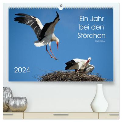Ein Jahr bei den Störchen (hochwertiger Premium Wandkalender 2024 DIN A2 quer), Kunstdruck in Hochglanz