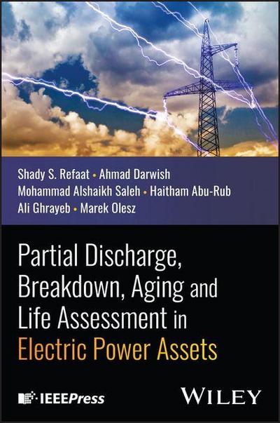 Partial Discharge, Breakdown, Aging and Life Assessment in Electric Power Assets