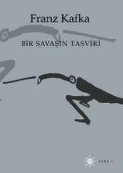 Bir Savasin Tasviri