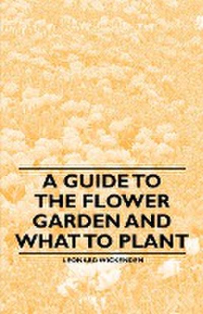 A Guide to the Flower Garden and What to Plant