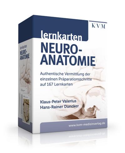 Lernkarten Neuroanatomie