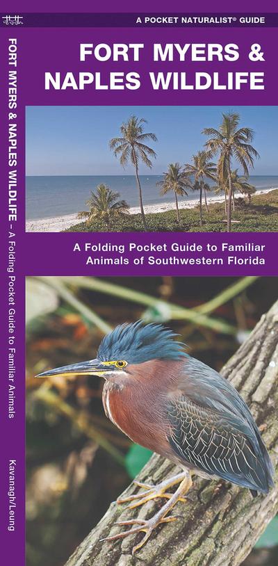 Fort Myers & Naples Wildlife