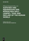 Religion. Heidentum: Die religiösen Verhältnisse i