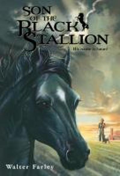 Son of the Black Stallion