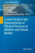 Current Trends in the Representation of Physical P