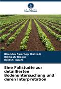 Eine Fallstudie zur detaillierten Bodenuntersuchung und deren Interpretation