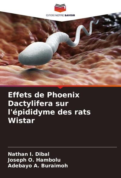 Effets de Phoenix Dactylifera sur l’épididyme des rats Wistar