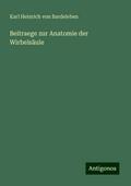 Beitraege zur Anatomie der Wirbelsäule