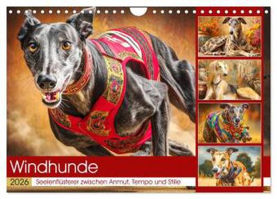 Windhunde. Seelenflüsterer zwischen Anmut, Tempo und Stille (Wandkalender 2026 DIN A4 quer), CALVENDO Monatskalender