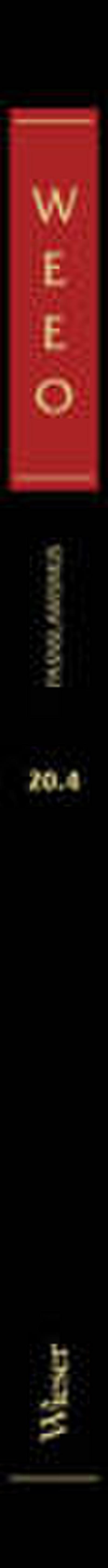 Wieser Enzyklopädie des europäischen Ostens / Panslawismus