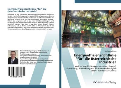 Energieeffizienzrichtlinie ’für’ die österreichische Industrie?