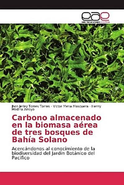 Carbono almacenado en la biomasa aérea de tres bosques de Bahía Solano