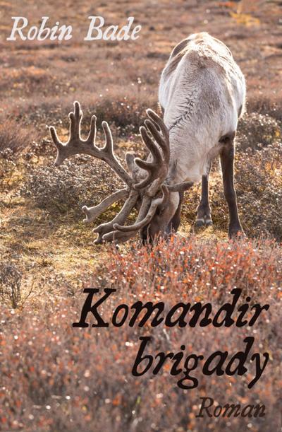 Komandir brigady
