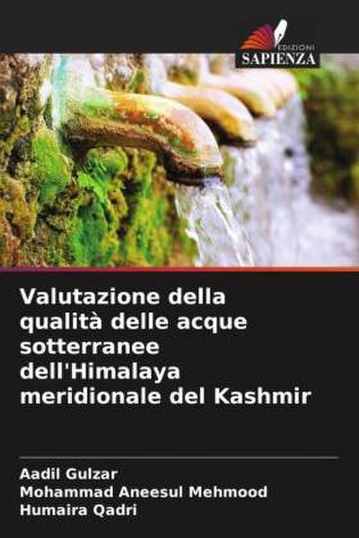 Valutazione della qualità delle acque sotterranee dell’Himalaya meridionale del Kashmir