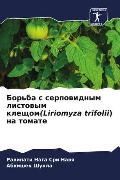 Bor’ba s serpowidnym listowym kleschom(Liriomyza trifolii) na tomate