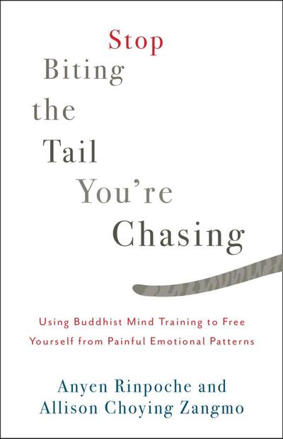 Stop Biting the Tail You’re Chasing: Using Buddhist Mind Training to Free Yourself from Painful Emotional Patterns