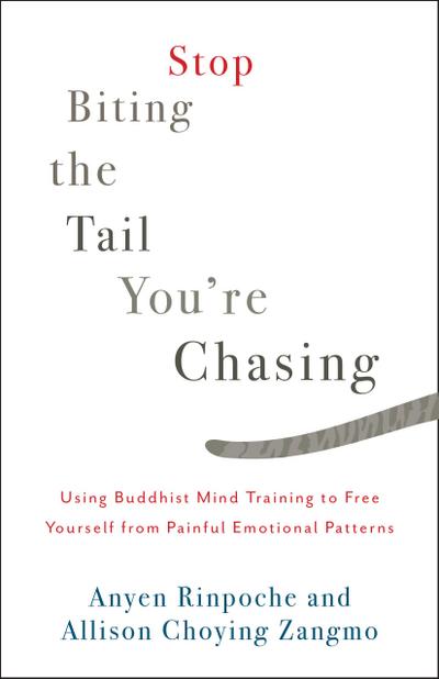 Stop Biting the Tail You’re Chasing