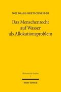 Das Menschenrecht auf Wasser als Allokationsproble