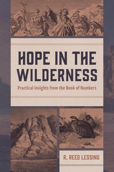 Hope in the Wilderness: Practical Insights from the Book of Numbers