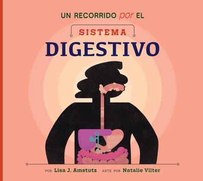 Un Recorrido Por El Sistema Digestivo