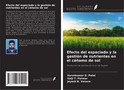 Efecto del espaciado y la gestión de nutrientes en el cáñamo de sol