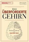 Das überforderte Gehirn
