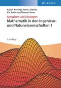 Mathematik in den Ingenieur- und Naturwissenschaft