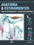 Anatomía & estiramientos