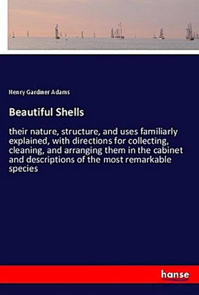 Beautiful Shells