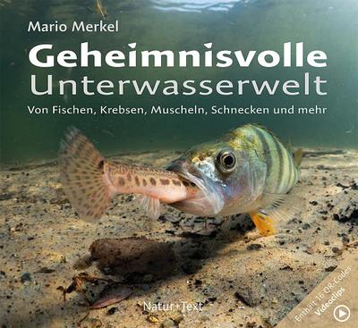 Geheimnisvolle Unterwasserwelt