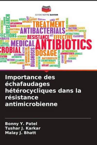 Importance des échafaudages hétérocycliques dans la résistance antimicrobienne