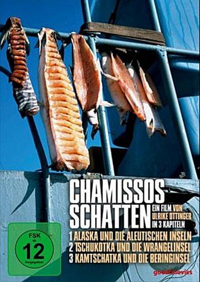 Chamissos Schatten