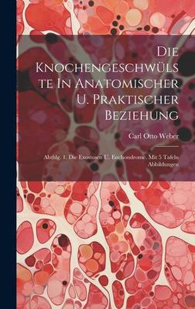 Die Knochengeschwülste In Anatomischer U. Praktischer Beziehung