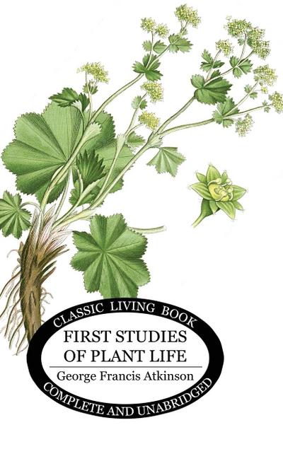 First Studies of Plant Life