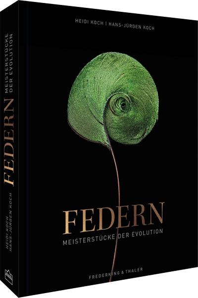Federn