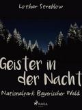 Geister in der Nacht. Nationalpark Bayerischer Wal