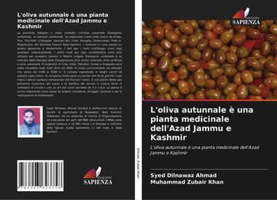 L’oliva autunnale è una pianta medicinale dell’Azad Jammu e Kashmir
