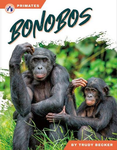 Bonobos