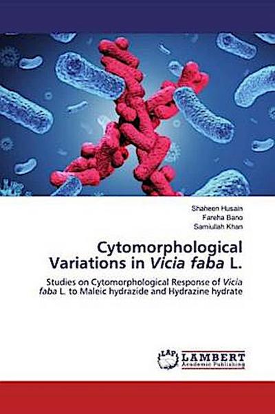 Cytomorphological Variations in Vicia faba L.