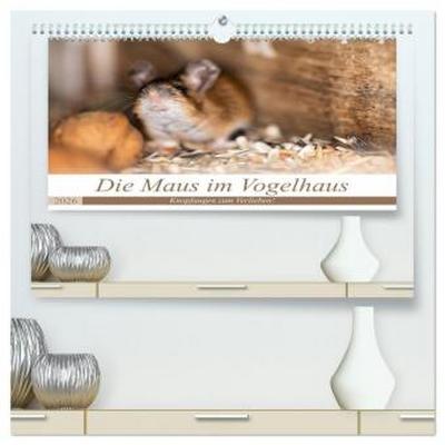 Die Maus im Vogelhaus (hochwertiger Premium Wandkalender 2026 DIN A2 quer), Kunstdruck in Hochglanz