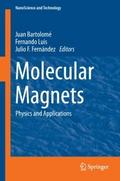Molecular Magnets