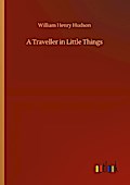 A Traveller in Little Things