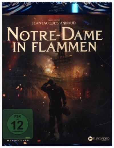 Notre-Dame in Flammen