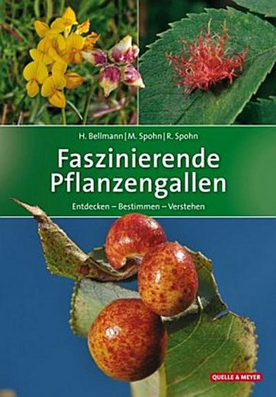 Faszinierende Pflanzengallen