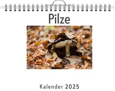 Weber, L: Pilze